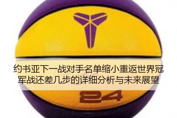 约书亚下一战对手名单缩小重返世界冠军战还差几步的详细分析与未来展望